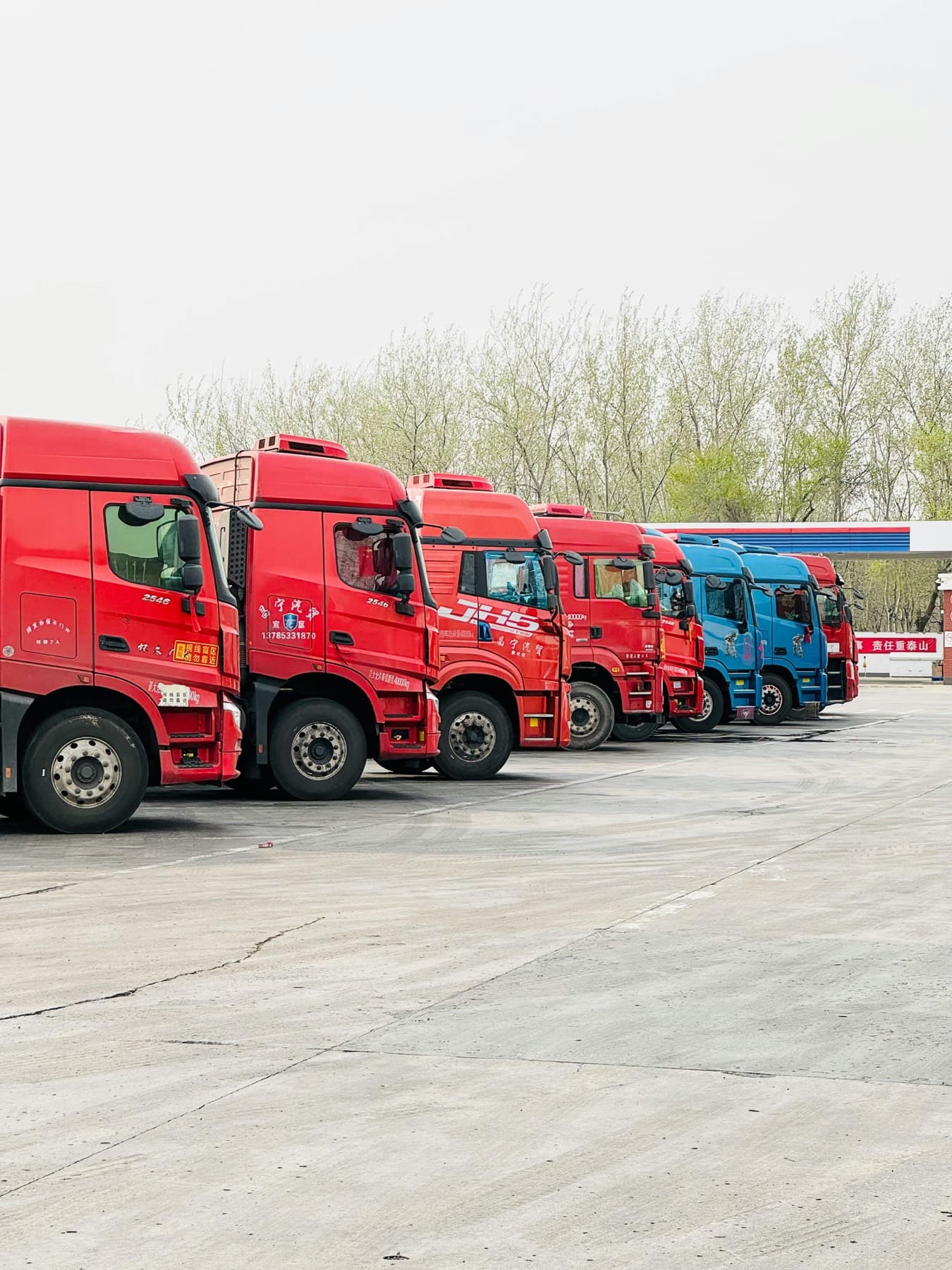 Lumirise fleet
